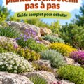 Un magnifique jardin de rocaille avec des plantes variées et des pierres décoratives.